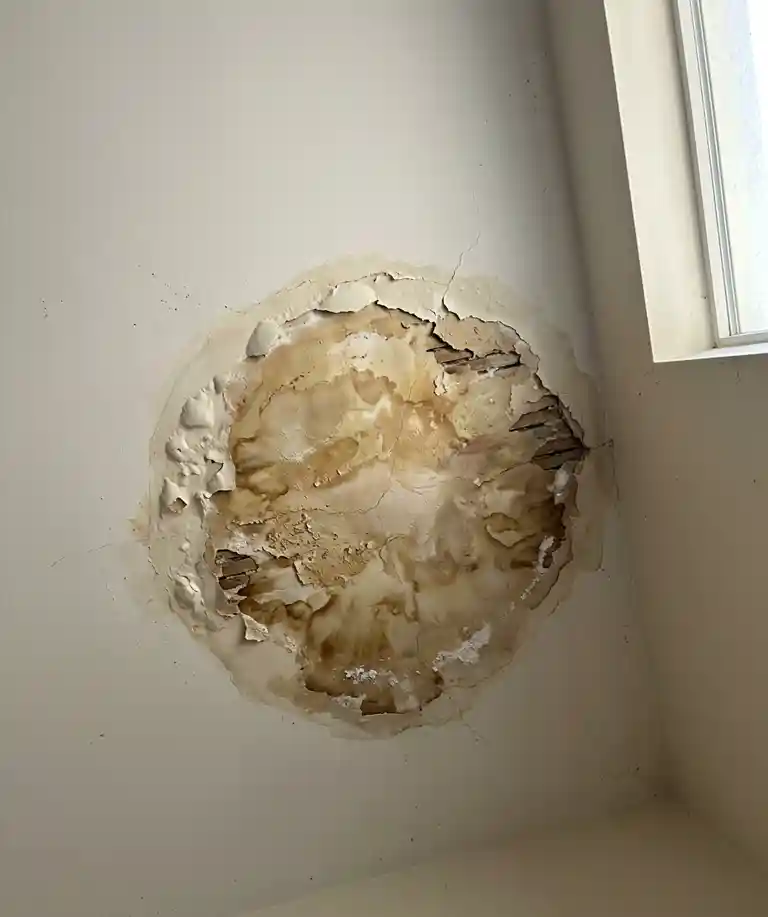 Illustration of types of Highland Park homes we've re-roofed